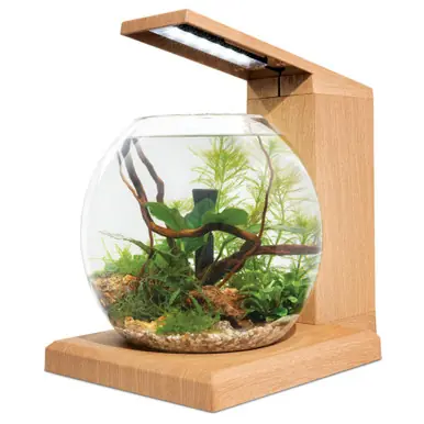 Fluval Liv Aquarium Kit, 1.6 US Gal / 6 L, Teak