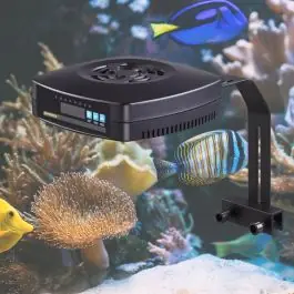 Dymax Marine LED Light (CLOSEOUT) - Aquarium Lighting