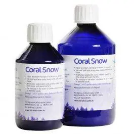 Coral Snow - Korallen-Zucht