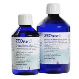 ZEOstart 3 - Korallen-Zucht