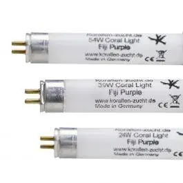 Fiji Purple High Output T5 Lamp - Korallen-Zucht