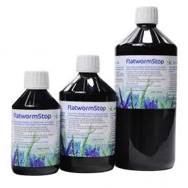 Flatworm Stop - Korallen-Zucht