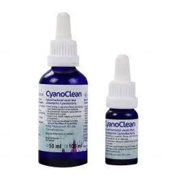 Cyano Clean - Korallen-Zucht