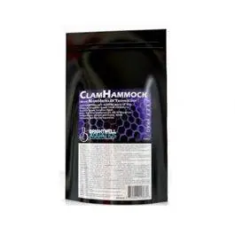 Clam Hammock - Brightwell Aquatics