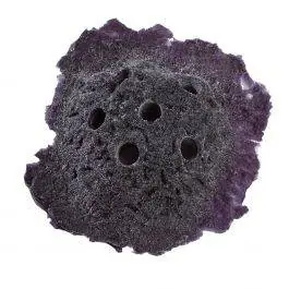 Purple Sandbed Frag Rock - Reef Rax