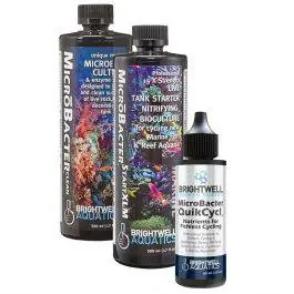 Microbacter Dry Rock Bacteria Starter Kit - Brightwell Aquatics