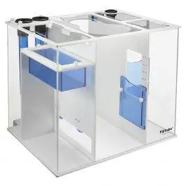 Fiji-20 Advanced Reef Sump - 2nd Gen