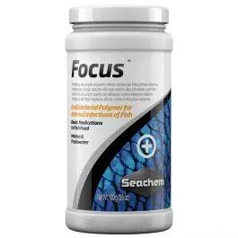 Focus Bacterial Fish Treatment - Seachem