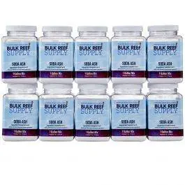 Pharma Soda Ash 1-Gallon Mix (10 Pack)