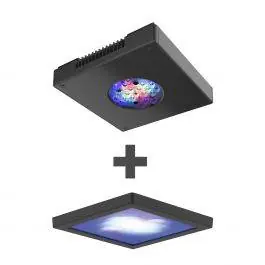 XR15w G4 Pro Radion with FREE Diffuser Bundle - EcoTech Marine