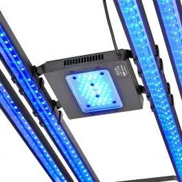 48" X Series Quad Strip LED Hybrid Kit - Reef Brite