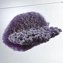 Purple Large Shelf Magnetic Frag Rack - Reef Rax
