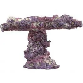 Table LifeRock Dry Live Rock - 18 Inch