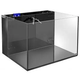 32 Gallon Rimless AIO Nano Aquarium PRO Series - Fiji Cube