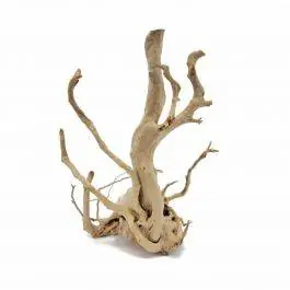 Spider Wood / Cuckoo Root (6-12 Inches) Aquatics