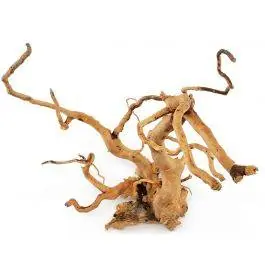 Spider Wood / Cuckoo Root (12-23 Inches) Aquatics