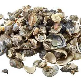 Eco-Complete African Cichlid Gravel Substrate 20lbs