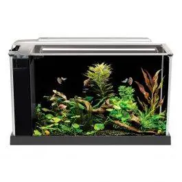 Fluval Spec 5 Gallon Aquarium Kit