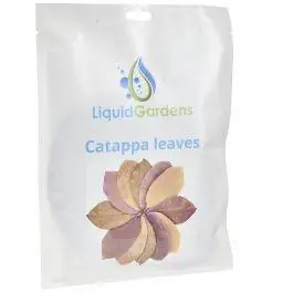 Catappa Leaves 10ct - Liquid Gardens