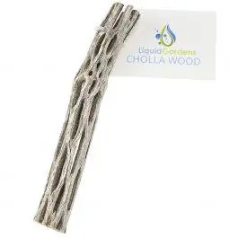Cholla Wood - Liquid Gardens