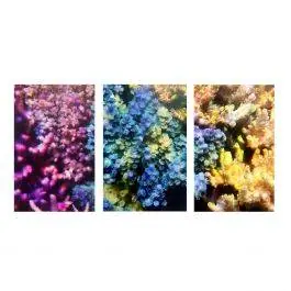 16"x24" 3-Piece Coral Oil Painting Canvas Set