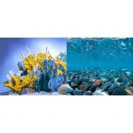 River Rock/Coral Bliss Background (24" x 48") - SeaView