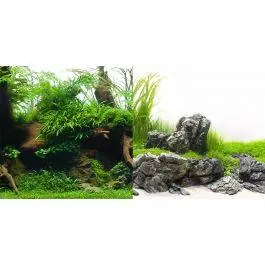 Green Spike/Amazonia Aquarium Backgrounds - SeaView