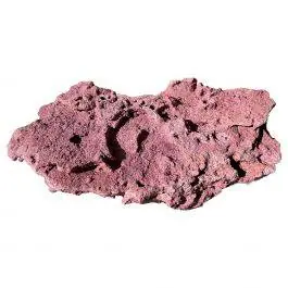 MR Coralline Shelf Rock (20 lbs) - MarcoRocks