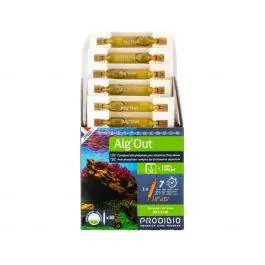 Alg'out Algae Prevention - Prodibio