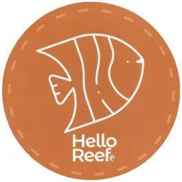 Orange Fish Sticker - HelloReef