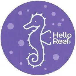 Blue Seahorse Sticker - HelloReef