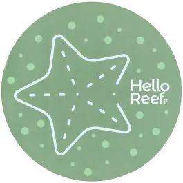 Teal Starfish Sticker - HelloReef