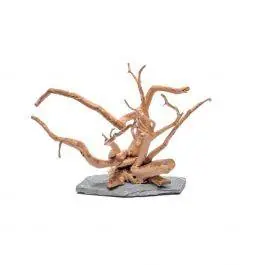 Spider Wood on Slate - Ultum Nature Systems