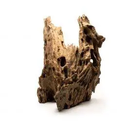 Dragon Wood - Ultum Nature Systems