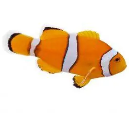 ORA True Percula Clownfish