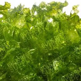 ORA Sea Lettuce Macro Algae (1/2lb)