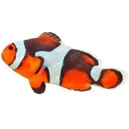 ORA Photon Clownfish
