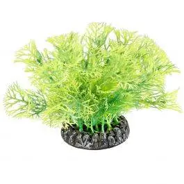 GloFish® Java Moss Aquarium Plant (Medium)