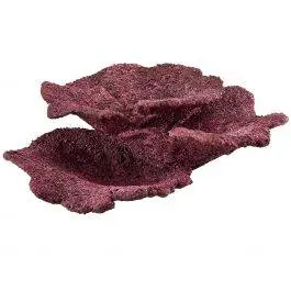 Real Reef "Show Size" Plate Coral Rock (1 Piece) - Real Reef Solutions