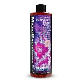 MicroBacter Purple M - Brightwell Aquatics