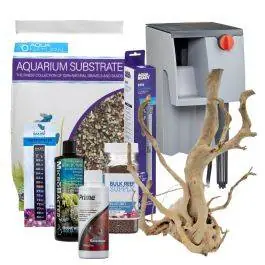 Bring Your Own Aquarium Freshwater Starter Kit - 10 Gallon