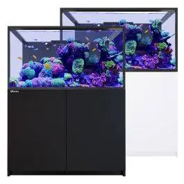 REEFER S-550 G3 Aquarium System (118 Gallons)