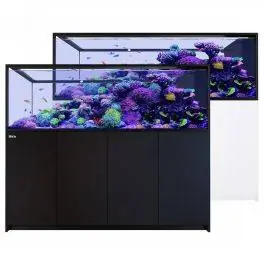 REEFER Peninsula S-950 G3 Aquarium System (200 Gallons)