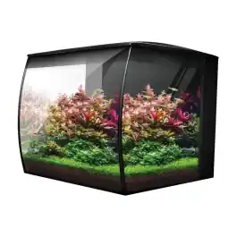 9 Gallon Fluval Flex 2.0 Aquarium
