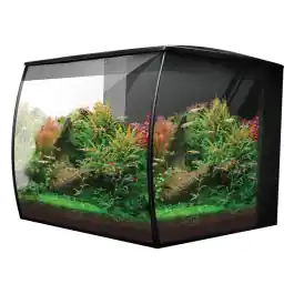 15 Gallon Fluval Flex 2.0 Aquarium