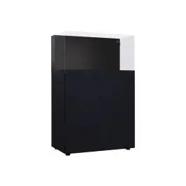 ProStar Rimless AIO 35 Aquarium & Stand (35 Gallons) - Pro Clear Aquatic Systems