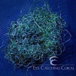 ECC Chaetomorpha Macro Algae - Eye Catching Coral