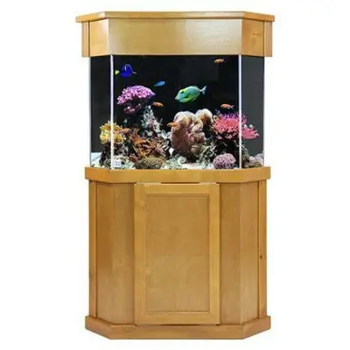 Clear-for-Life 125-Gallon Pentagon Acrylic Aquarium Setup