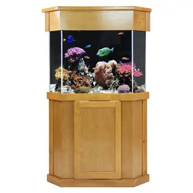 Clear-for-Life 75-Gallon Pentagon Acrylic Aquarium Setup