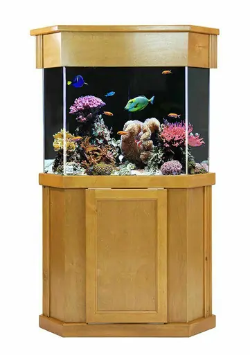 Clear-For-Life Laguna Pine 36"x36"x30"H Pentagon Stand